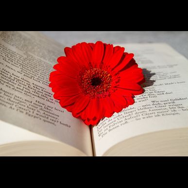 子供が欲しい、、、と思ったら