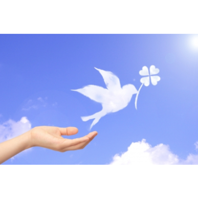 東広島で妊活を希望するなら