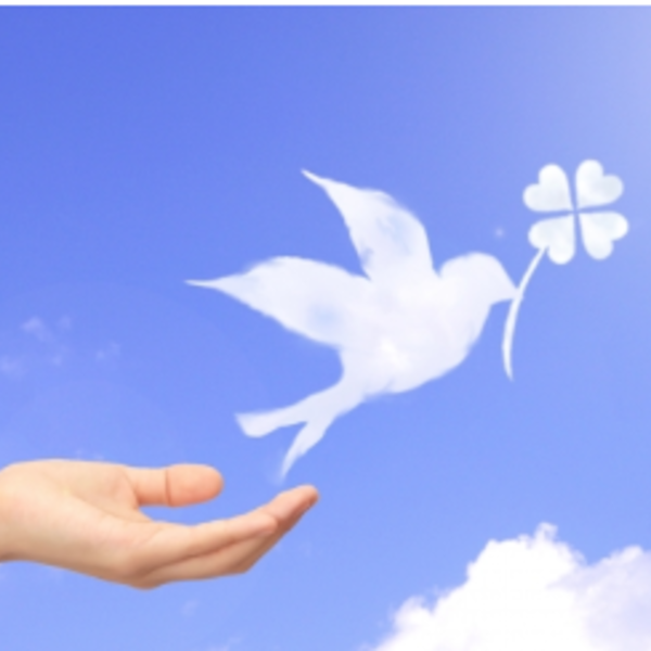 東広島で妊活を希望するなら