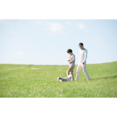 慢性腰痛のリスクをご存知ですか？